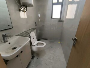 Team Area in 1 BHK Builder Floor at Sector 21 – for Rent