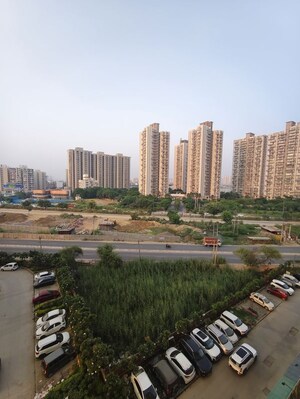 2 BHK Apartment For Rent in Pivotal Riddhi Siddhi, Sector 99