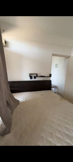 1 BHK +Apartment For Rent in Signature Global Synera
