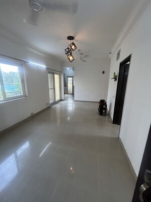 3 BHK Apartment For Rent in Paramount Floraville, Sector 137