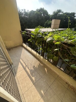Balcony in 3 BHK Apartment at Paramount Floraville, Sector 137 – for Rent