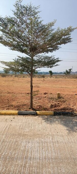  Plot For Sale in Fortune Butterfly City, Kadthal