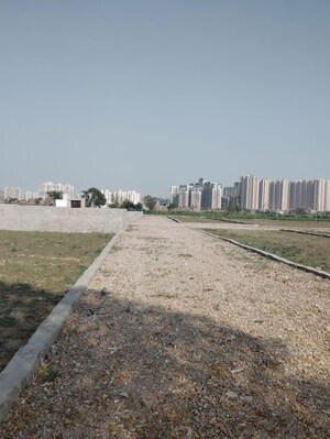 Plot Area in  Plot at Sector 115 – for Sale