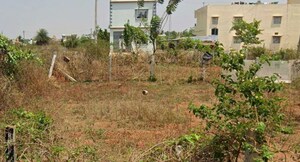  Land For Sale in Mantana Kurchi