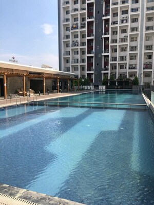 Swimming Pool in 2 BHK Apartment at Godrej 24, Hinjewadi – for Rent