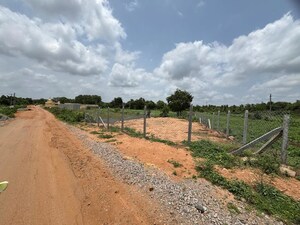  Plot For Sale in Terpole