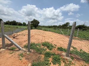 Plot Area in  Plot at Terpole – for Sale