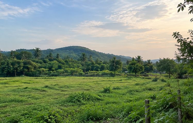 Plot Area in  Plot at Uttan – for Sale