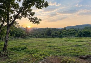  Plot For Sale in Uttan