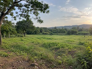 Plot Area in  Plot at Uttan – for Sale