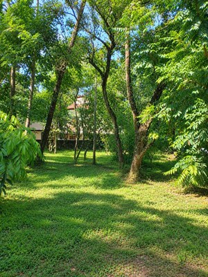  Plot – Garden View at Chembukkav - for Sale