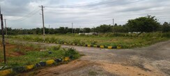 Plot For Sale in Jigani