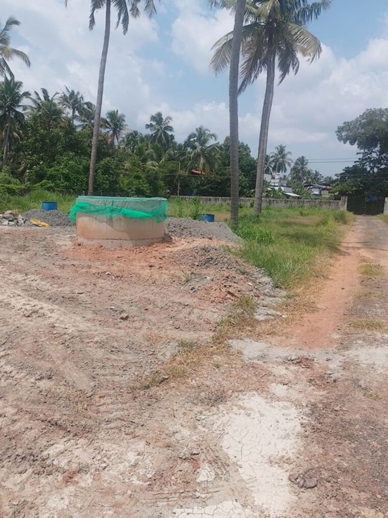 undefined, puranattukara  4356 Sq.Ft. Plot In Puranattukara Thrissur 10703953