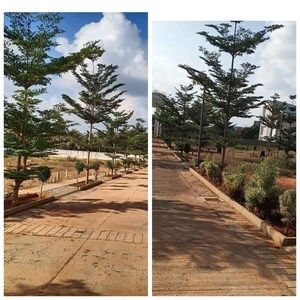Plot Area in  Plot at Doddaballapura – for Sale
