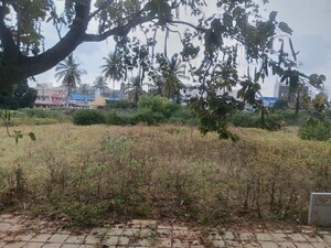  Plot For Sale in Nitesh Long Island, Devanahalli