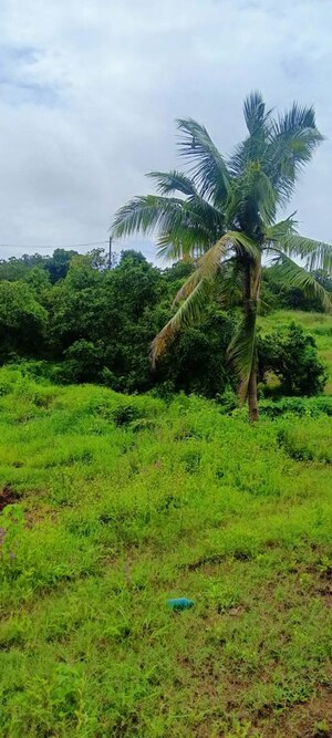 Plot – Exterior View View at Dapoli - for Sale