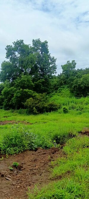  Plot – Exterior View View at Dapoli - for Sale