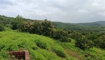 2200 Sq.Ft. Plot in Dapoli