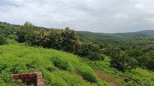  Plot For Sale in Dapoli