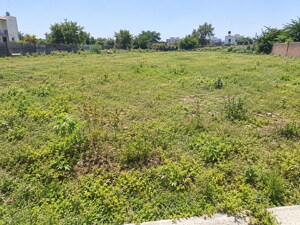  Plot For Sale in Khari Khurd