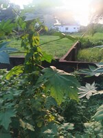 2400 Sq.Ft. Plot in Kidderpore