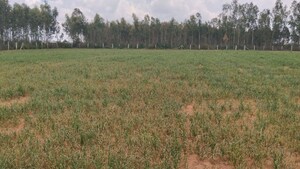  Plot For Sale in Devanahalli