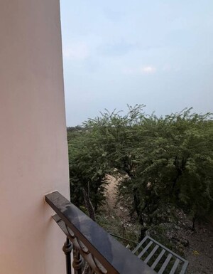 Plot Area in 3 BHK Builder Floor at Subhash Nagar – for Rent