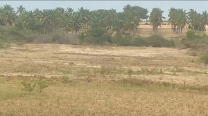 Plot Area in  Land at Hosadurga – for Sale