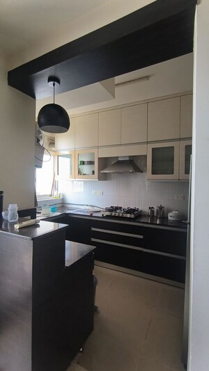 Kitchen in 2 BHK Builder Floor at Sector 21 – for Rent