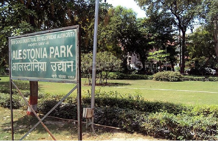 undefined, sector 15a 5 Bedroom 5200 Sq.Ft. Independent House In Sector 15a Noida 10704911