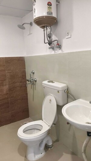 Bathroom in 3 BHK Builder Floor at Sector 21 – for Rent