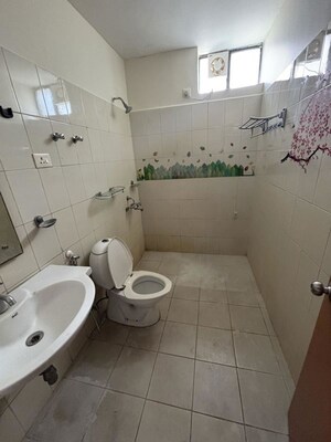 Bathroom in 3 BHK Builder Floor at Sector 21 – for Rent
