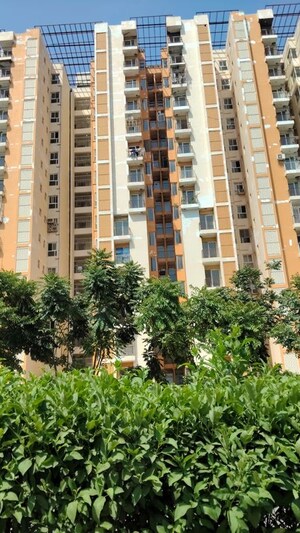 2 BHK Apartment – Exterior View View at Wave Dream Homes, Wave City - for Sale