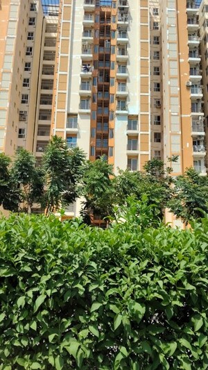 2 BHK Apartment For Sale in Wave Dream Homes, Wave City