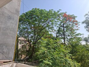 2 BHK Independent House – Garden View at Sector 40 - for Rent