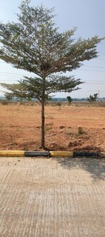 480 Sq.Yd. Plot in Fortune Butterfly City