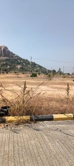 400 Sq.Yd. Plot in Fortune Butterfly City