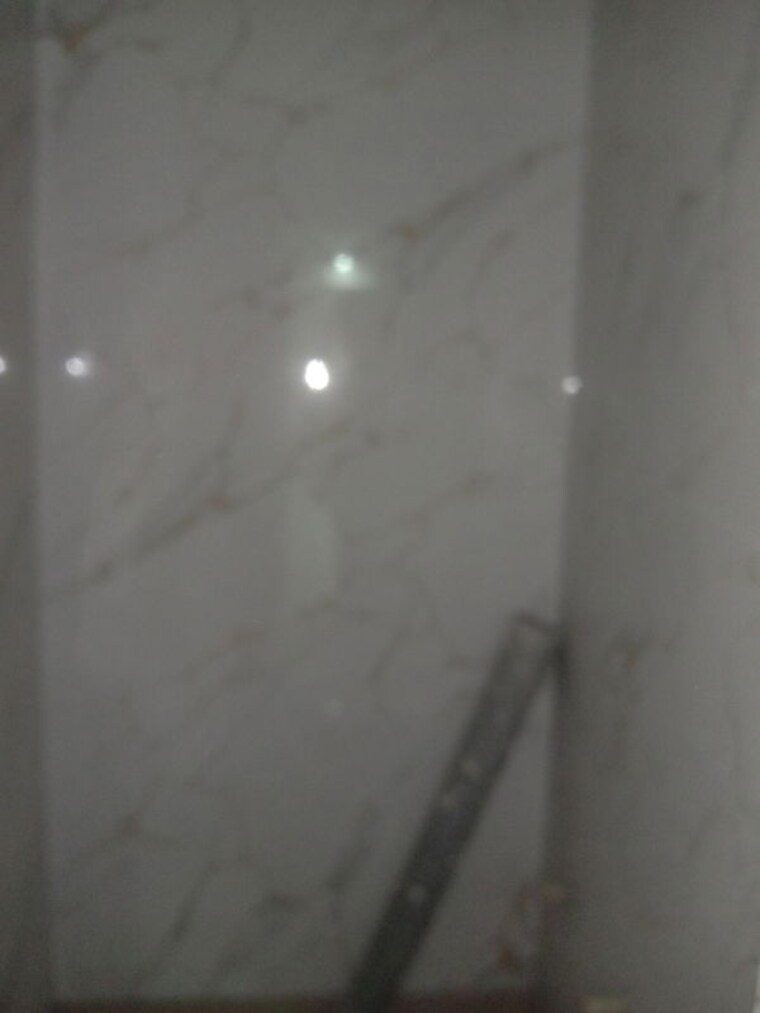 Room, bhagwati garden 2 Bedroom 540 Sq.Ft. Builder Floor In Bhagwati Garden Delhi 10705231