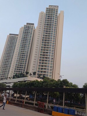 1 BHK Apartment For Rent in Aurum Q Residences, Ghansoli