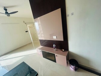 2 BHK 800 Sq.Ft. Apartment in Signature Global The Millennia