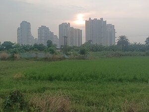 Plot Area in  Plot at Shapoorji Pallonji Shukho Brishti, Rajarhat New Town – for Sale