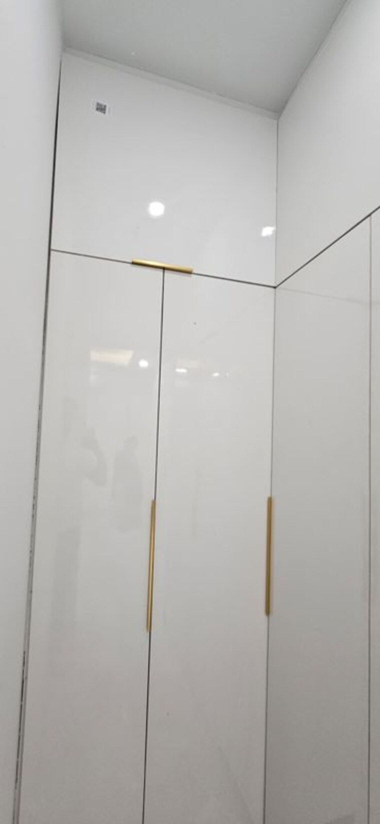 undefined, sector 43 4 Bedroom 263 Sq.Yd. Builder Floor In Sector 43 Gurgaon 10705914