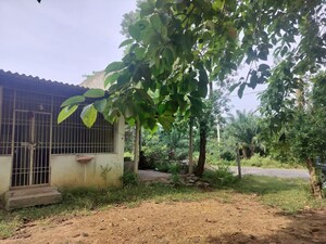  Land – Exterior View View at Vattigudipadu - for Sale