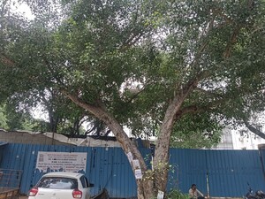  Land – Exterior View View at Women's Welfare Housing Society - for Sale