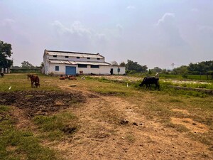 Plot Area in  Industrial Plot at Lachapet – for Sale