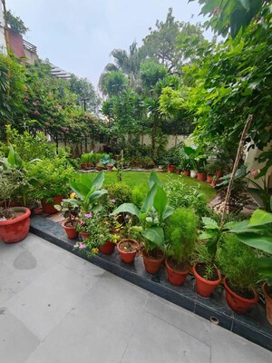 5 BHK Independent House – Garden View at Vasant Vihar - for Sale