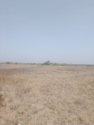 Plot Area in  Plot at Shirdhon – for Sale