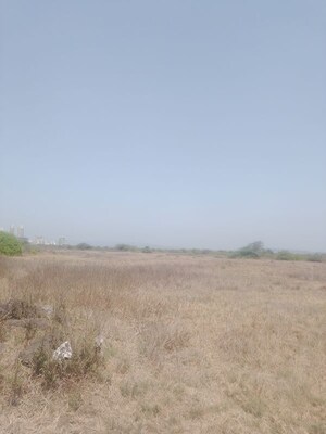Plot Area in  Plot at Shirdhon – for Sale