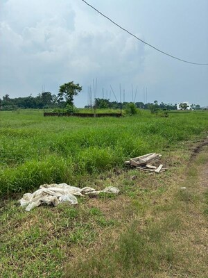 Plot Area in  Plot at Joka – for Sale