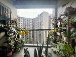 3 BHK +  1572 Sq.Ft. Apartment in Goyal Orchid Piccadilly